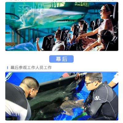 水族館工作怎么樣（水族館工作需要具備哪些技能） 水族館百科（水族館加盟） 第4張