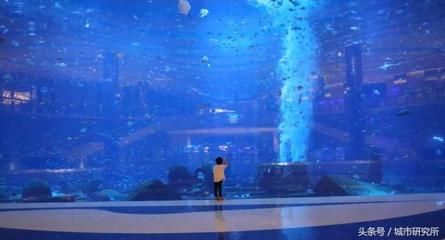 水族館開在什么地方合適呢（哈密水族館的選址應(yīng)考慮交通便利性、周邊環(huán)境以及成本效益） 水族館百科（水族館加盟） 第2張