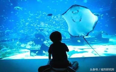 水族館開在什么地方合適呢（哈密水族館的選址應(yīng)考慮交通便利性、周邊環(huán)境以及成本效益） 水族館百科（水族館加盟） 第3張