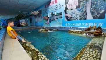 游戲 水族館 捉魚（《水族館》游戲介紹） 水族館百科（水族館加盟） 第1張