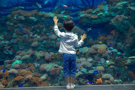 游戲 水族館 捉魚（《水族館》游戲介紹） 水族館百科（水族館加盟） 第3張