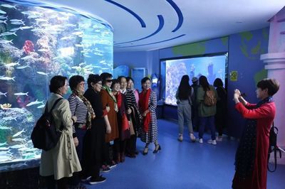 水族館投資大概多少錢一個月呢（水族館投資成本） 水族館百科（水族館加盟） 第3張