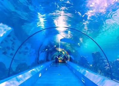 水族館生意怎么樣（開設(shè)水族館的成本主要包括以下幾個(gè)方面，水族館行業(yè)不斷發(fā)展壯大） 水族館百科（水族館加盟） 第5張