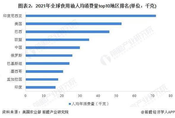 金龍魚講解員的說辭（金龍魚講解員的說辭示例） 龍魚百科 第4張