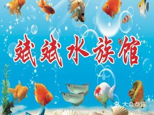 水族館開店流程怎么寫文案（水族館開店流程） 水族館百科（水族館加盟） 第3張