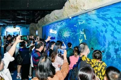 水族館收入（水族館收入來源及其對(duì)經(jīng)濟(jì)的影響） 水族館百科（水族館加盟） 第3張