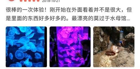 水族館能干嘛（水族館是一個展示和研究水下生物的場所，水族館如何提升環(huán)保意識） 水族館百科（水族館加盟） 第1張