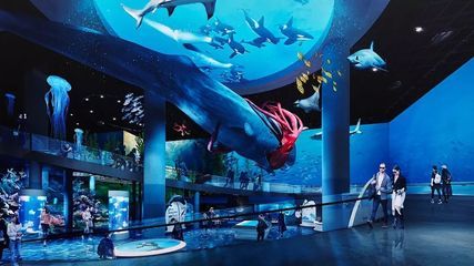 上海海洋水族館好玩嗎值得去嗎（上海海洋水族館親子活動安排） 水族館百科（水族館加盟） 第4張