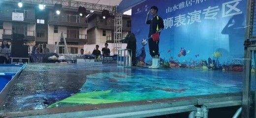 水族館開業(yè)活動方案策劃（水族館開業(yè)活動策劃） 水族館百科（水族館加盟） 第3張