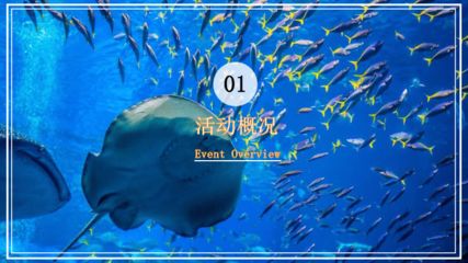 水族館開業(yè)活動方案策劃（水族館開業(yè)活動策劃） 水族館百科（水族館加盟） 第2張