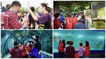 想開一家水族館（如何成功開設一家水族館市場調研水族館市場的成功要素） 水族館百科（水族館加盟） 第3張