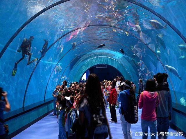 水族館屬于什么行業(yè)（2021-2026年中國(guó)水族館行業(yè)投資回報(bào)率分析） 水族館百科（水族館加盟） 第1張