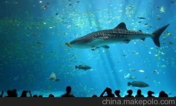 水族館制作廠家地址在哪里（水族館制作廠家） 水族館百科（水族館加盟） 第3張