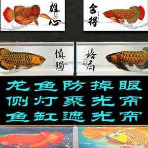 賣龍魚(yú)取一個(gè)店名好嗎（為賣龍魚(yú)的店取名） 龍魚(yú)百科 第5張