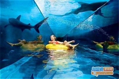 水族館加盟代理多少錢一個(gè)月?。ㄋ屦^加盟代理費(fèi)用概覽） 水族館百科（水族館加盟） 第1張