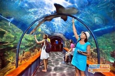 水族館加盟代理多少錢一個(gè)月?。ㄋ屦^加盟代理費(fèi)用概覽） 水族館百科（水族館加盟） 第3張