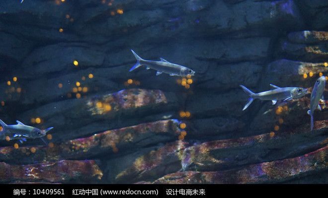 水族館門面圖片高清（水族館門頭照明效果展示） 水族館百科（水族館加盟） 第3張