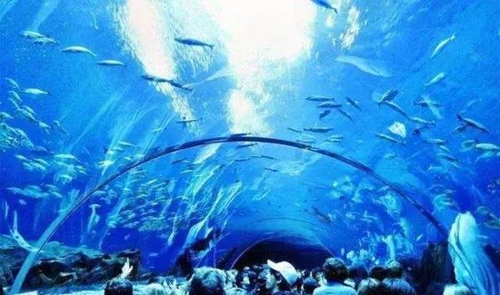 水族館建造費(fèi)用（建造一個(gè)水族館不僅需要考慮投資成本，還需要考慮長期運(yùn)營和維護(hù)） 水族館百科（水族館加盟） 第5張