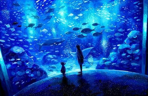 開一個小型水族館多少錢人民幣（開一個小型水族館的初始投資可能在10萬到30萬元之間） 水族館百科（水族館加盟） 第2張