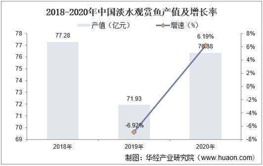 重慶龍魚批發(fā)市場地址電話號碼（在重慶龍魚批發(fā)市場購買龍魚需要預約嗎？） 水族問答 第2張