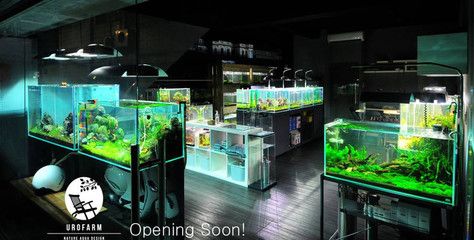 水族館店面裝修效果圖（關(guān)于水族館店面裝修的一些詳細(xì)信息） 水族館百科（水族館加盟） 第5張