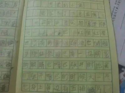 龍魚的選擇和鑒賞怎么寫作文300字左右（300字左右關于龍魚的選擇和鑒賞作文：龍魚的選擇和鑒賞） 龍魚百科 第2張