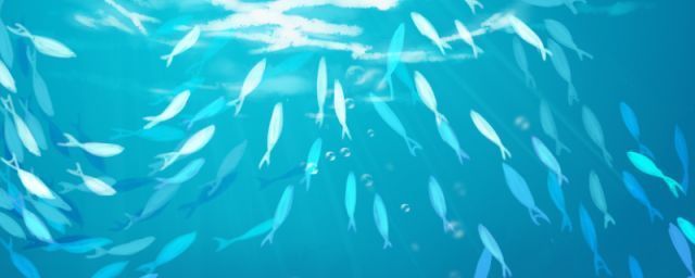 水族館兒童票多少歲（上海水族館兒童票多少歲詳情） 水族館百科（水族館加盟） 第1張