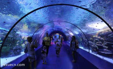 國內(nèi)水族館排名（2024年國內(nèi)水族館排名） 水族館百科（水族館加盟） 第4張