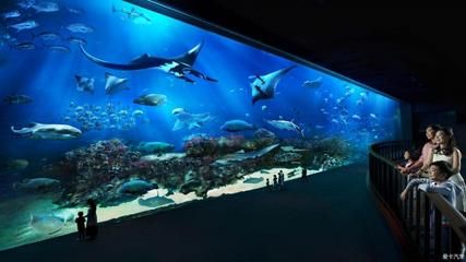 世界最大的水族館在哪個(gè)國(guó)家？（世界上最大的水族館是喬治亞水族館，是世界上最大的水族館） 水族館百科（水族館加盟） 第1張