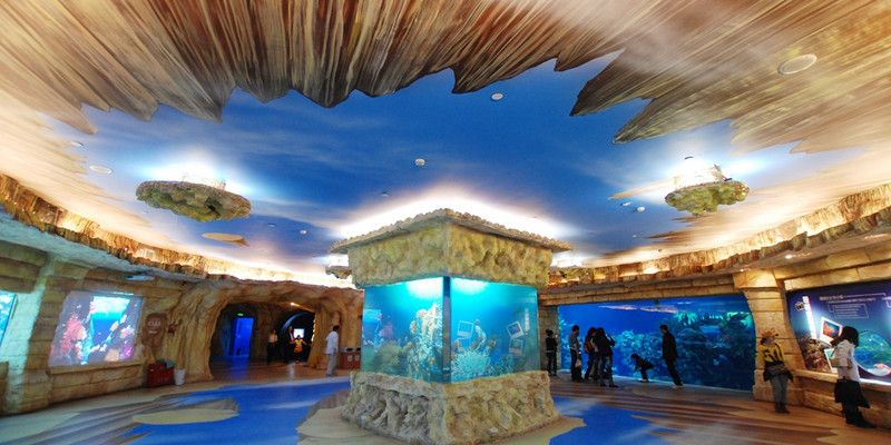 水族館主要經(jīng)營什么產品類型（水族館主要經(jīng)營的產品類型） 水族館百科（水族館加盟） 第5張