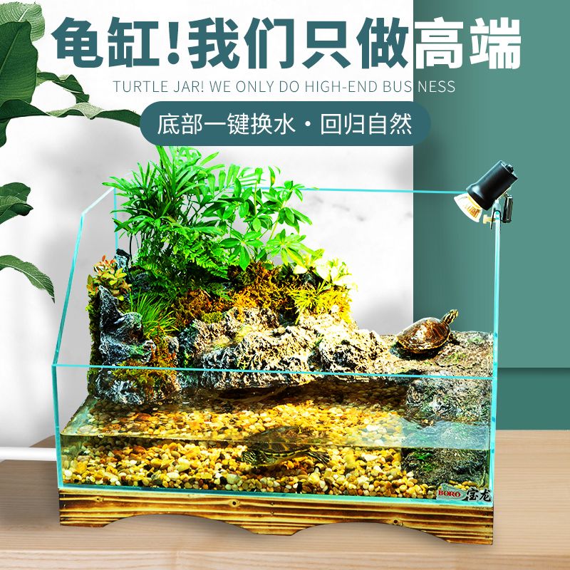 高端魚缸推薦品牌（森森魚缸用戶評(píng)價(jià)如何）