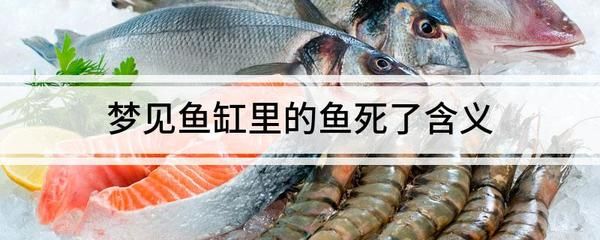 夢(mèng)見魚缸魚死了一條（夢(mèng)見魚缸里的魚死了一條是什么意思）