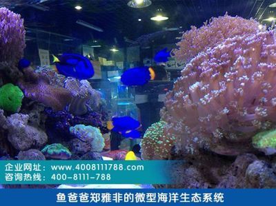 水族館現(xiàn)在行情怎么樣（中國水族館市場在未來幾年內(nèi)將保持穩(wěn)定增長趨勢） 水族館百科（水族館加盟） 第5張