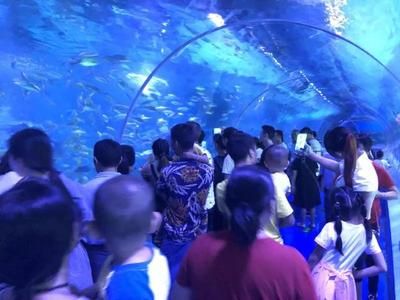 水族館干嘛的（水族館是什么？） 水族館百科（水族館加盟） 第2張