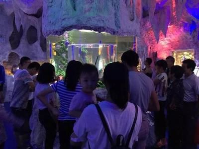 水族館干嘛的（水族館是什么？） 水族館百科（水族館加盟） 第4張