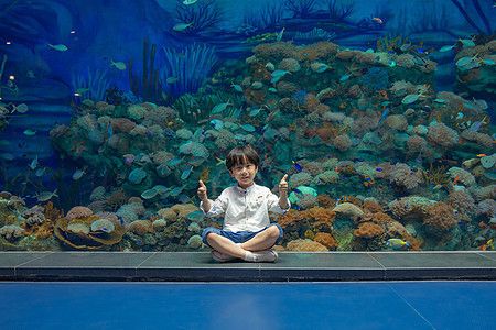 水族館店鋪照片真實(shí)高清（上海海洋水族館）