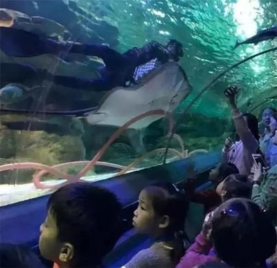 水族館工資高嗎（水族館飼養(yǎng)員工作機(jī)會多嗎） 水族館百科（水族館加盟） 第1張