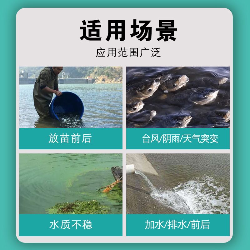 魚(yú)缸vc放多了怎么辦（魚(yú)缸內(nèi)維生素c放多時(shí)，可能會(huì)對(duì)觀賞魚(yú)造成不利影響） 魚(yú)缸百科 第4張