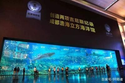 水族館面積（世界十大水族館排名更新水族館面積與生物多樣性之間的關(guān)系） 水族館百科（水族館加盟） 第5張