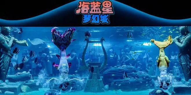 水族館門票多少錢一張（上海海洋水族館門票價(jià)格） 水族館百科（水族館加盟） 第2張