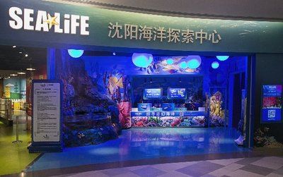 祥龍水族館品牌影響力（祥龍水族館品牌在市場(chǎng)上具有一定的影響力） 水族館百科（水族館加盟） 第1張