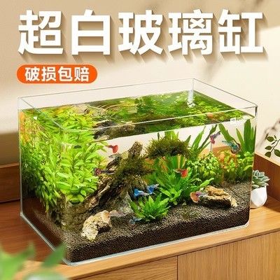 金晶超白玻璃魚缸價格（金晶超白玻璃魚缸價格詳情） 魚缸百科 第5張