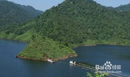 水族館養(yǎng)魚有哪些技巧（養(yǎng)魚技巧包括：1.選擇適宜的水族箱，確保魚類健康生長）