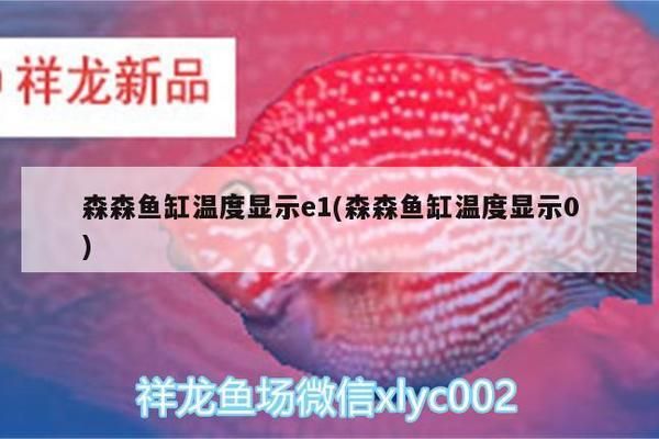 森森魚缸加熱棒顯示e1什么原因（森森魚缸加熱棒顯示e1） 魚缸百科 第5張