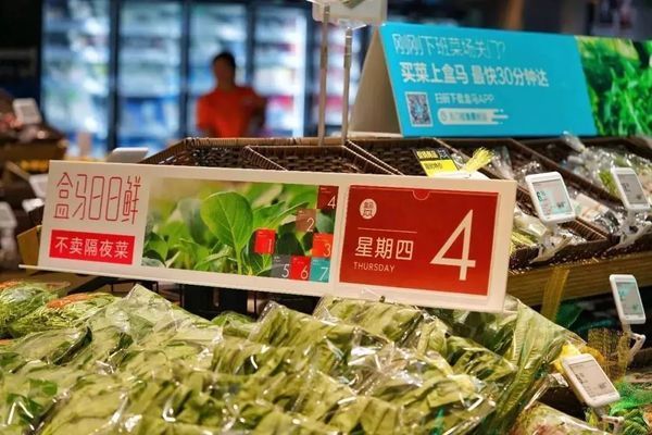 爆款水族館（上海海底世界珍稀魚種介紹,加茂水族館特色美食推薦）