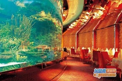 水族館加盟條件及費(fèi)用多少錢啊（-加盟水族館加盟條件需要滿足特定條件和支付費(fèi)用） 水族館百科（水族館加盟） 第2張