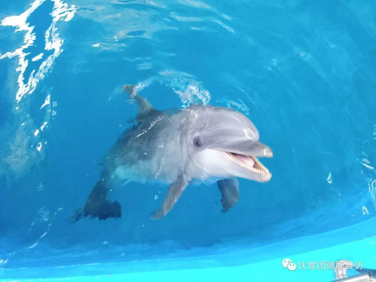 好聽的水族館名字大全（水族館名字大全） 水族館百科（水族館加盟） 第4張