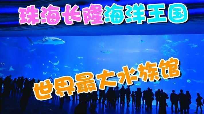 長隆有水族館嗎（探索長隆海洋王國的水族館） 水族館百科（水族館加盟） 第2張