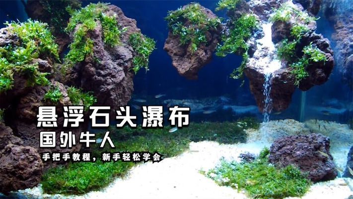 國外魚缸造景視頻（亞馬遜河魚缸造景教程） 魚缸百科 第3張