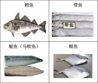 彩虹雷龍魚(yú)好看嗎圖片（關(guān)于彩虹雷龍魚(yú)的問(wèn)題） 水族問(wèn)答 第2張